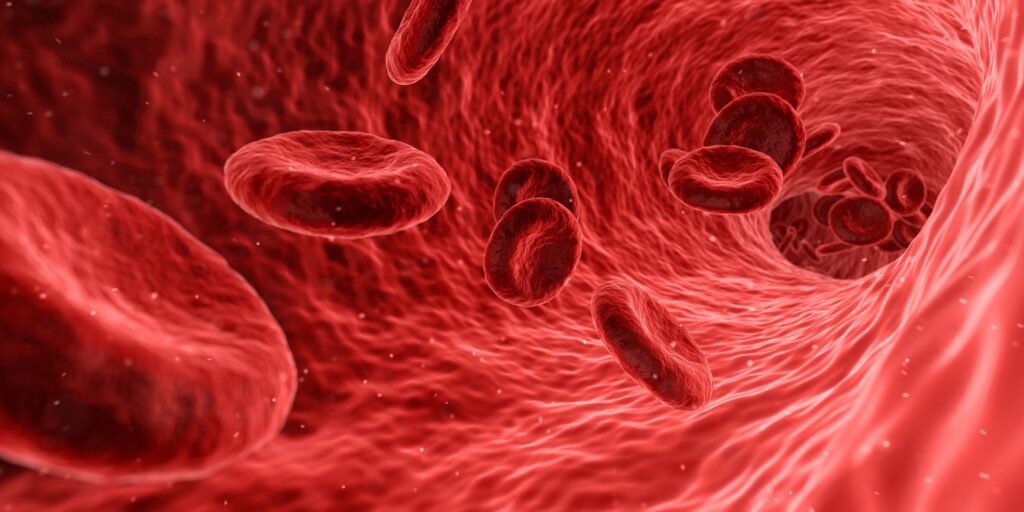 Zellmembranfluidität, Zellgesundheit, Blutzellen, PPMR-Methode